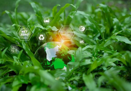 CO2 emission reduction concept, clean and friendly environment without carbon dioxide emissions. Planting trees to reduce CO2 emissions, environmental protection concept.