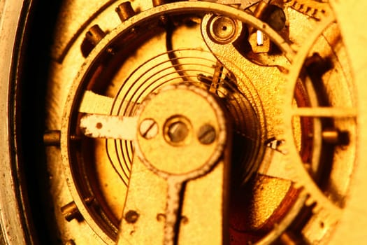 golden gear macro close up