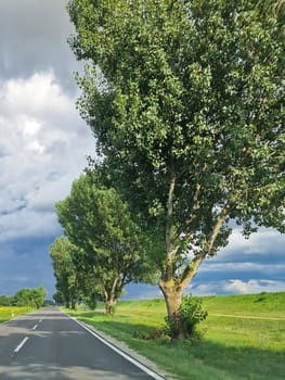 POV- Driving on a straight road, cloudy sky and green surroundings