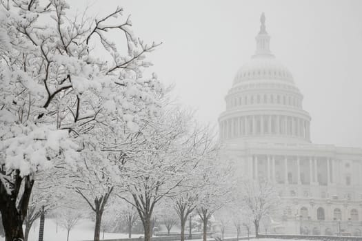 Capitol Building, Winter, Washington, District of Columbia, USA