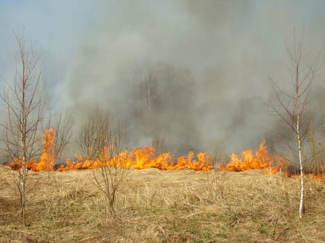 burning dry grass at the spring field