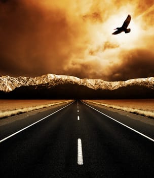 The open road and the soaring bird