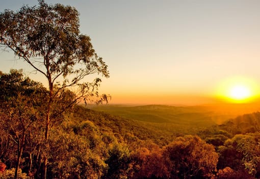 Sunset in the bush in South Australia