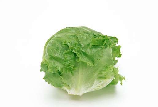 Green lettuce on white background