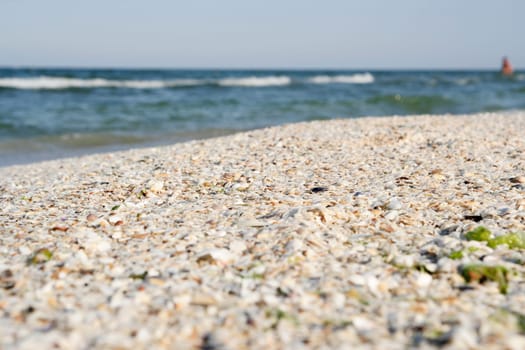 Summertime at the beach with great waves.