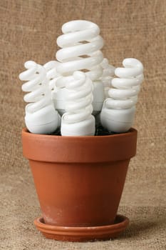 Power saving up bulbs in a flowerpot