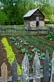 farming garden with barn house