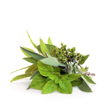 Herb leaf and flower selection of bay, oregano, sage and thyme, over white background.