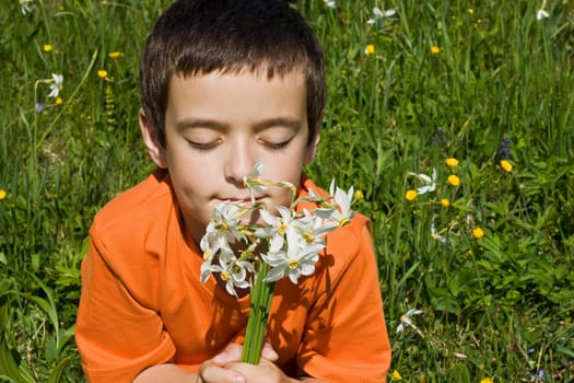 Boy smelling flowers in the meadow