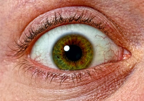 close up image of scary green eys background
