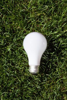 Incandescent light bulb laying on green grass