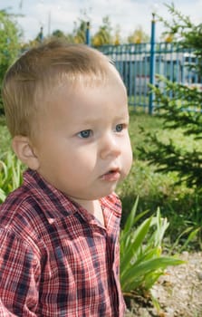 Portrait little boy, which goes for a walk in the park