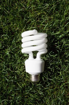 Energy saving light bulb in green grass