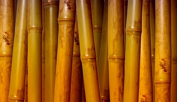 fine image of different bamboo, nature background