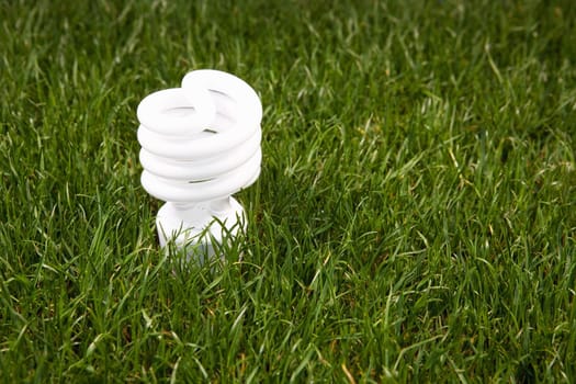 Energy saving light bulb in green grass