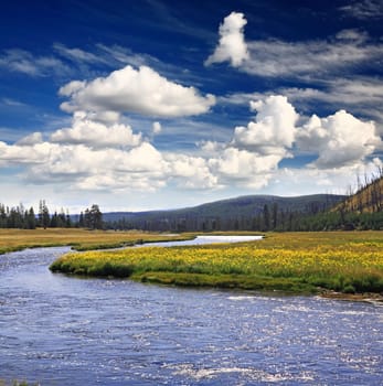The scenery of Yellowstone National Park in Wyoming