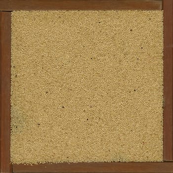amaranth grain in a rustic wooden box or frame