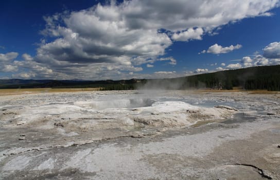 The scenery of Lower Geyser Basin in Yellowstone National Park