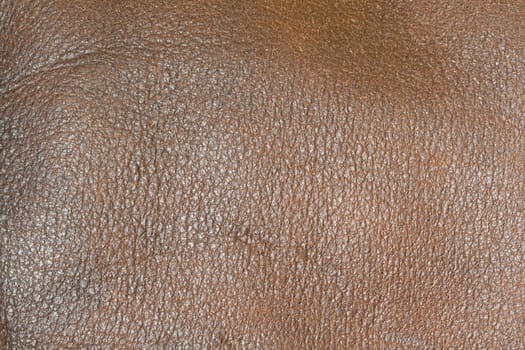 High resolution brown leather texture - very detailed and real...