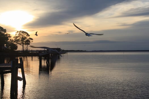 A Tranquil Sunset on Peridido Bay