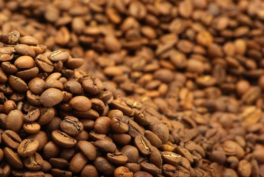 Close up of the aromatic coffe beans