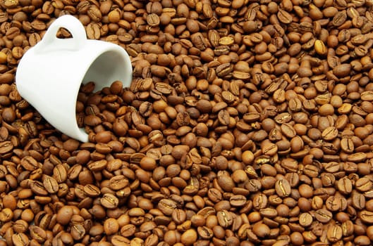 Coffee beans in a white cup