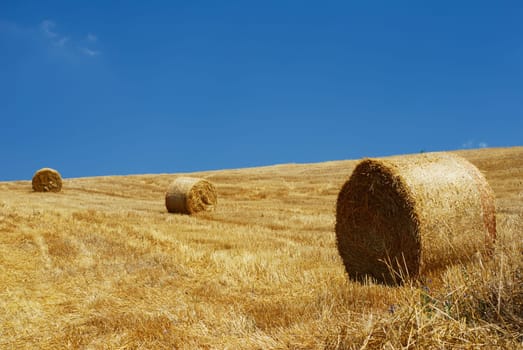 Straw bales in a line under clear blue sky