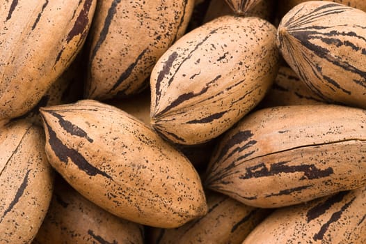 Background of pecan nuts, close up shot.