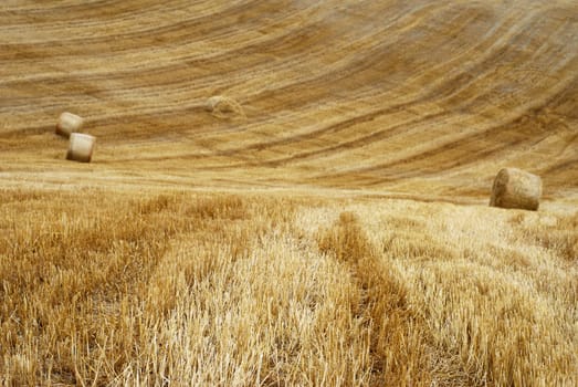 Field with straw bales