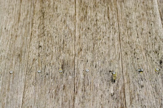great background texture of old grungy wood