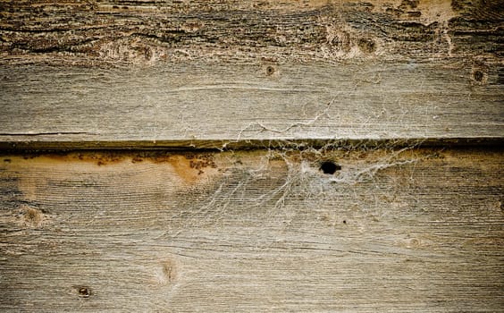 great background texture of old grungy wood