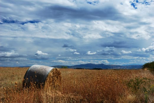 Hay bale in a golden dry field under dramatic sky