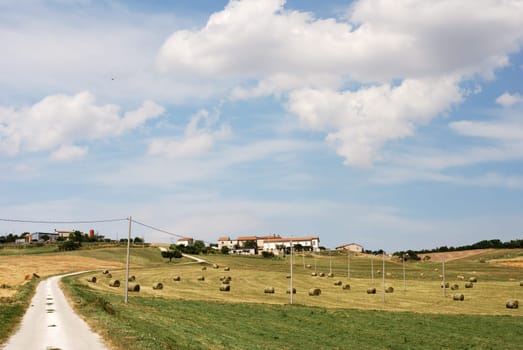 Country road up to little houses in summertime