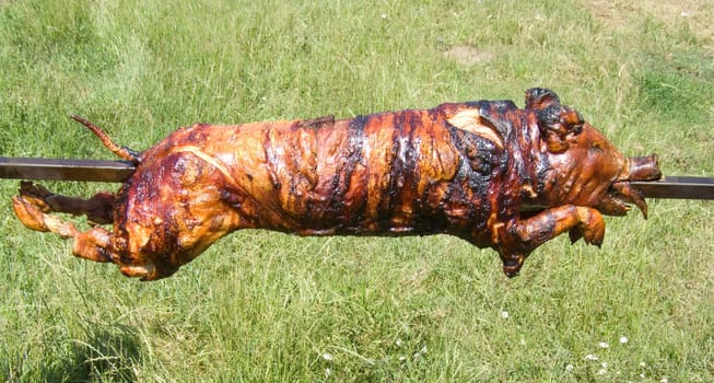 the just roasted pig on a spit