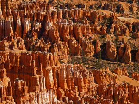 The Bryce Canyon National Park, Utah, USA