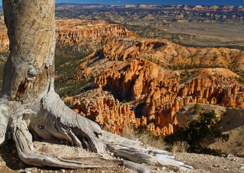 The Bryce Canyon National Park, Utah, USA