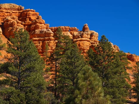 Sandstone formations in Red Canyon near Bryce Canyon