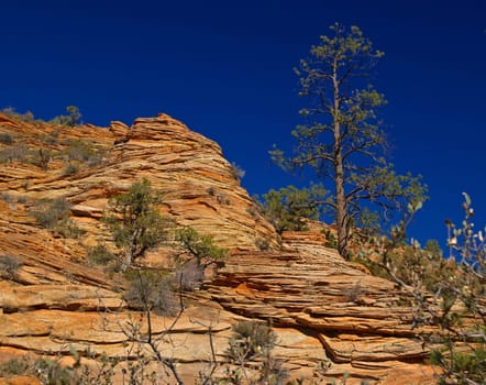 Mountains in Zion national park in Utah