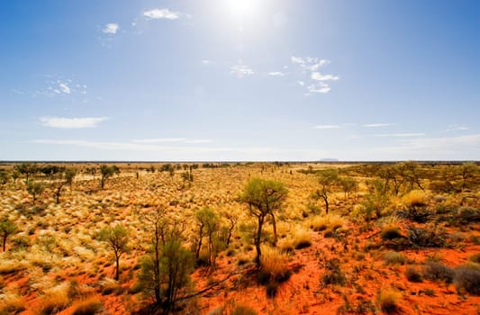 Central Australian Landscape with Uluru in the distance