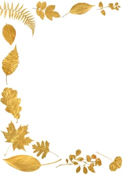 Golden leaf selection forming an abstract frame over white  background.