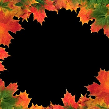 Maple leaf abstract design forming a border over black background.
