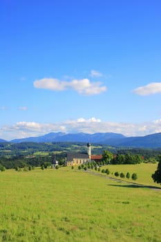 beautiful summer landscape