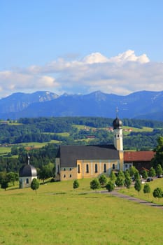 beautiful summer landscape