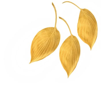 Three golden hosta leaves in an abstract design over white background.