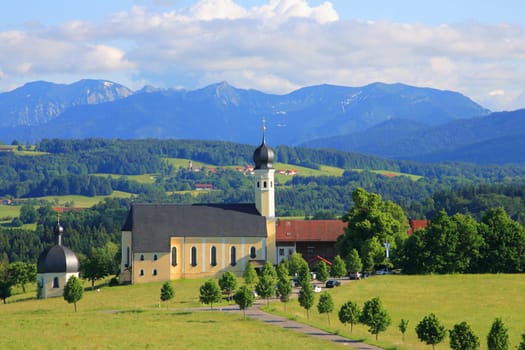 beautiful summer landscape