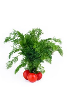 tomato and dill vegetable, tomato tree concept