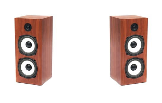 A pair of hi-fi speakers on white background