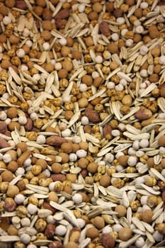 Close up of mixed cookies