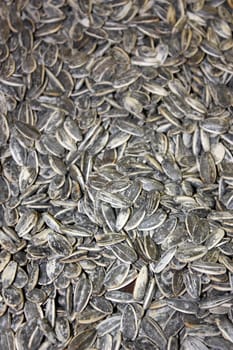 Close-up of pile of sunflower seeds