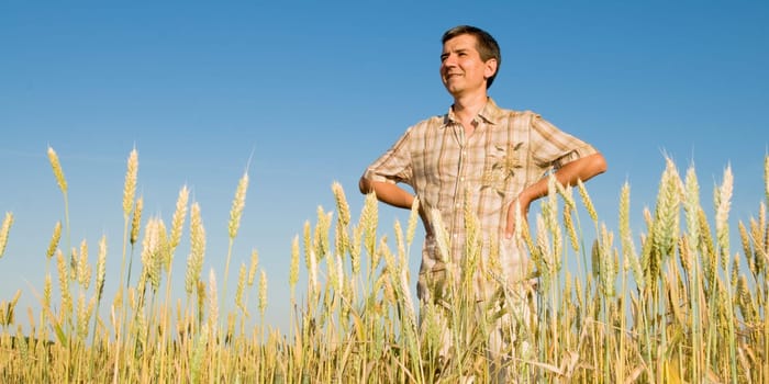 a man is looking at the harvest